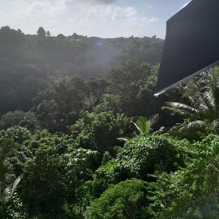 Les Manguiers Lägenhet Sainte-Anne  Exteriör bild