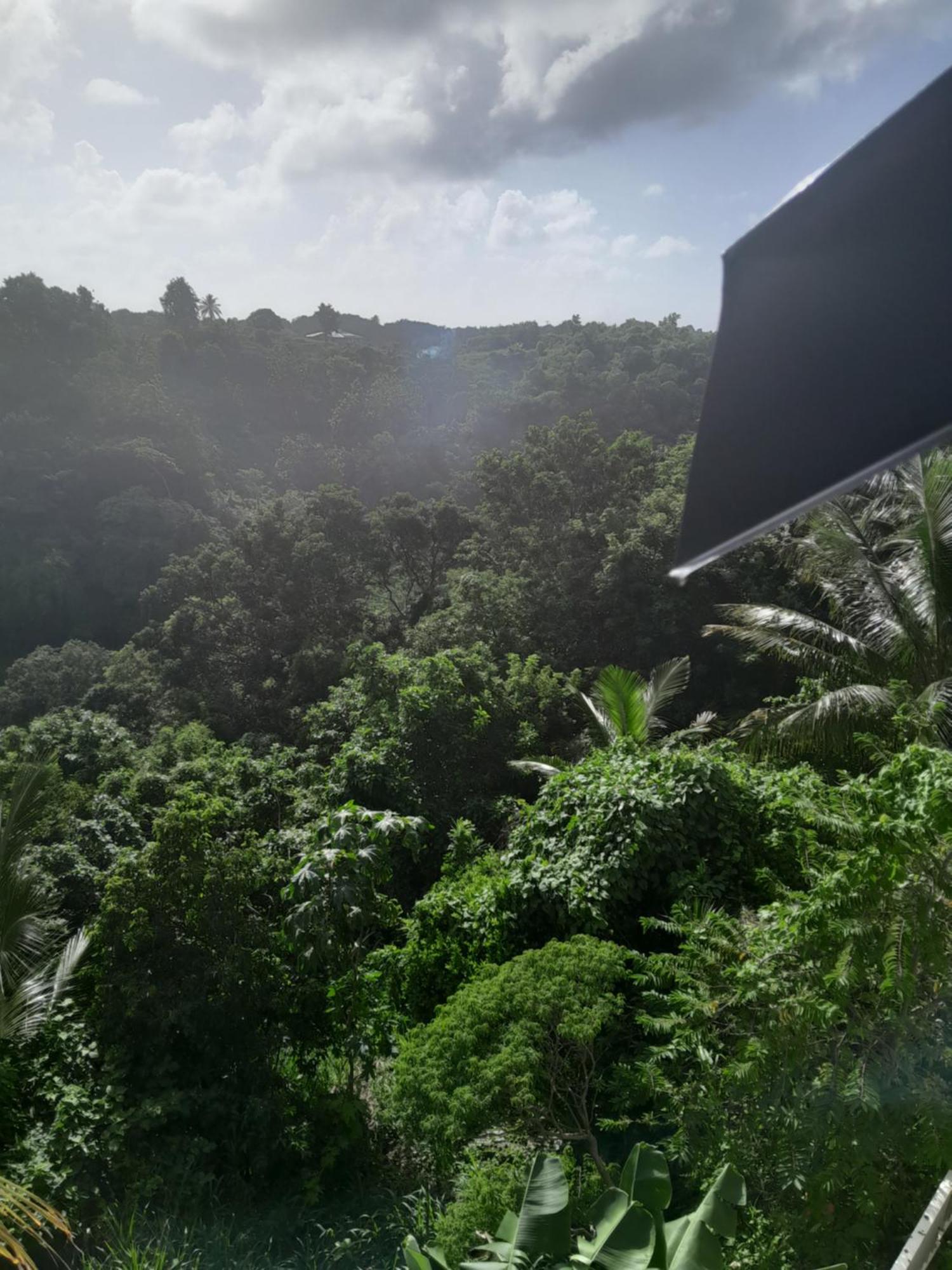 Les Manguiers Lägenhet Sainte-Anne  Exteriör bild
